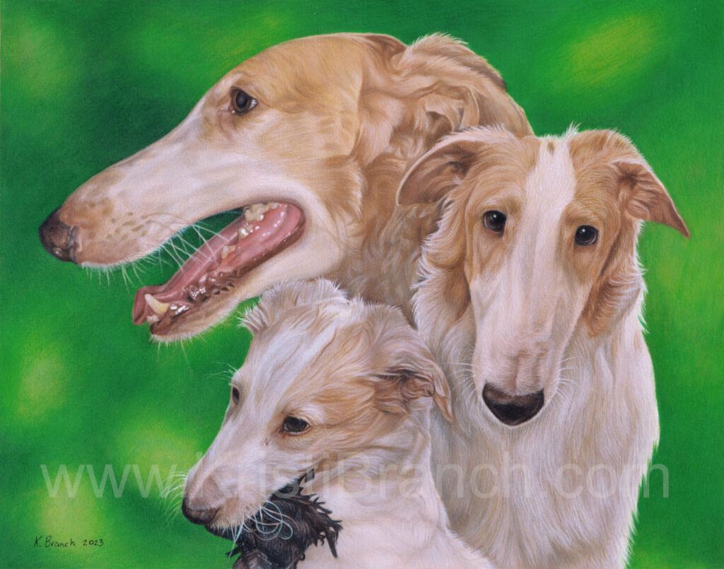 Pet Portraits – Kristi Branch Art & Design